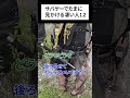 サバゲーでたまに見かける凄い人 12 inユニオンスタジアム #shorts #サバゲー#airsoft