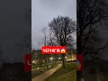 29 января 2025 г.