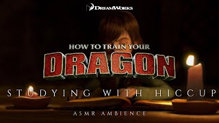 📖✨Studying with Hiccup the Book of Dragons I How to Train your Dragon ASMR Ambience 🔥🕯️