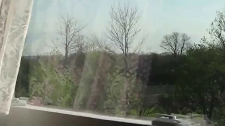 20150501 Vlog My Day with David & Jill & Fletcher