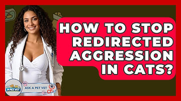 How To Stop Redirected Aggression In Cats? - Ask A Pet Vet