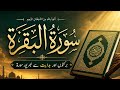 🕋 Surah Baqarah Full Quran Recitation | Heart Touching Tilawat | Urdu & Arabic