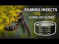 Filming Insects With Macro (Close-Up) Filters