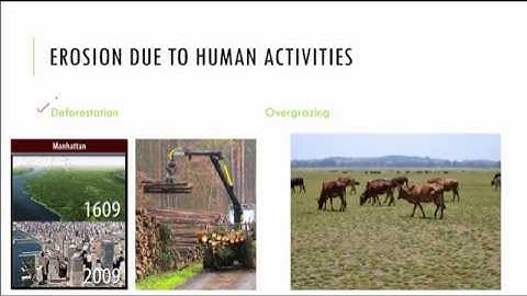 Soil erosion and conservation - Part 1, 5th Standard, Science, CBSE