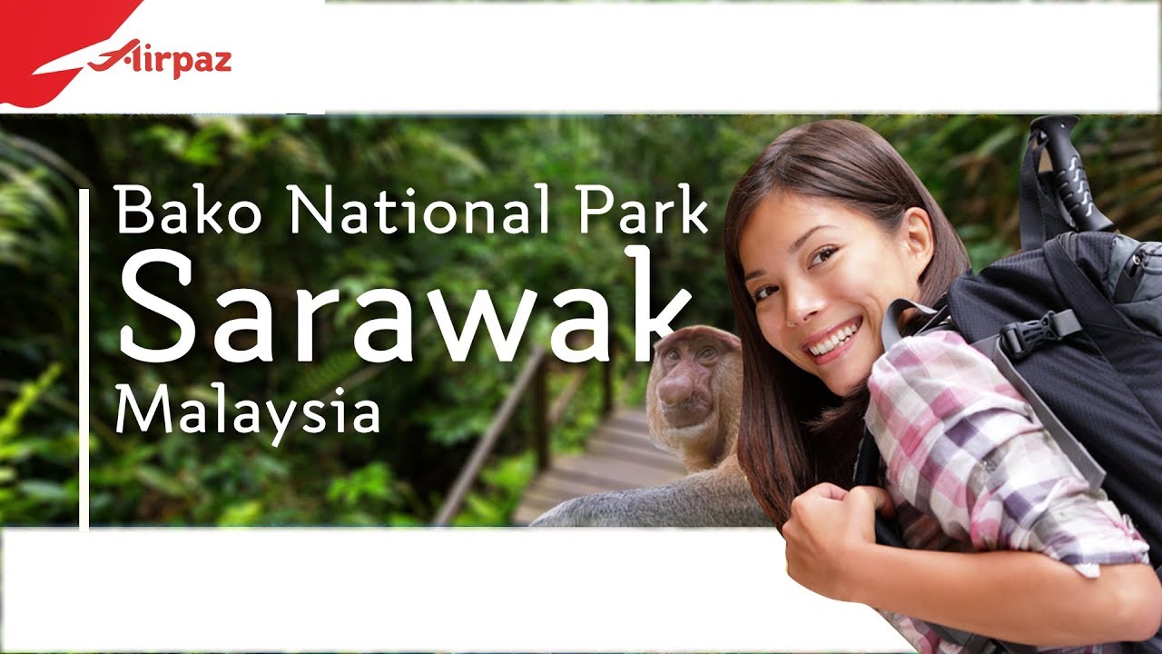 Explore Bako National Park, Sarawak Malaysia