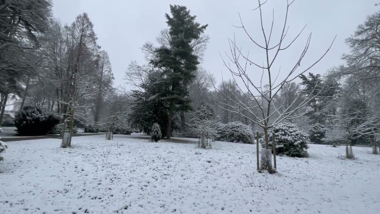 Das wunderschöne Gefühl eines verschneiten Tages in Garmany 🇩🇪🥰❄️