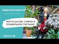 Любовь к вечным историям! Фотосессии, сумки и правильное питание | Мне это нравится! #86 (18+)