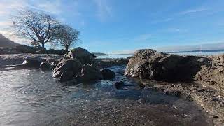Relaxing waterscape with soothing rippling sound