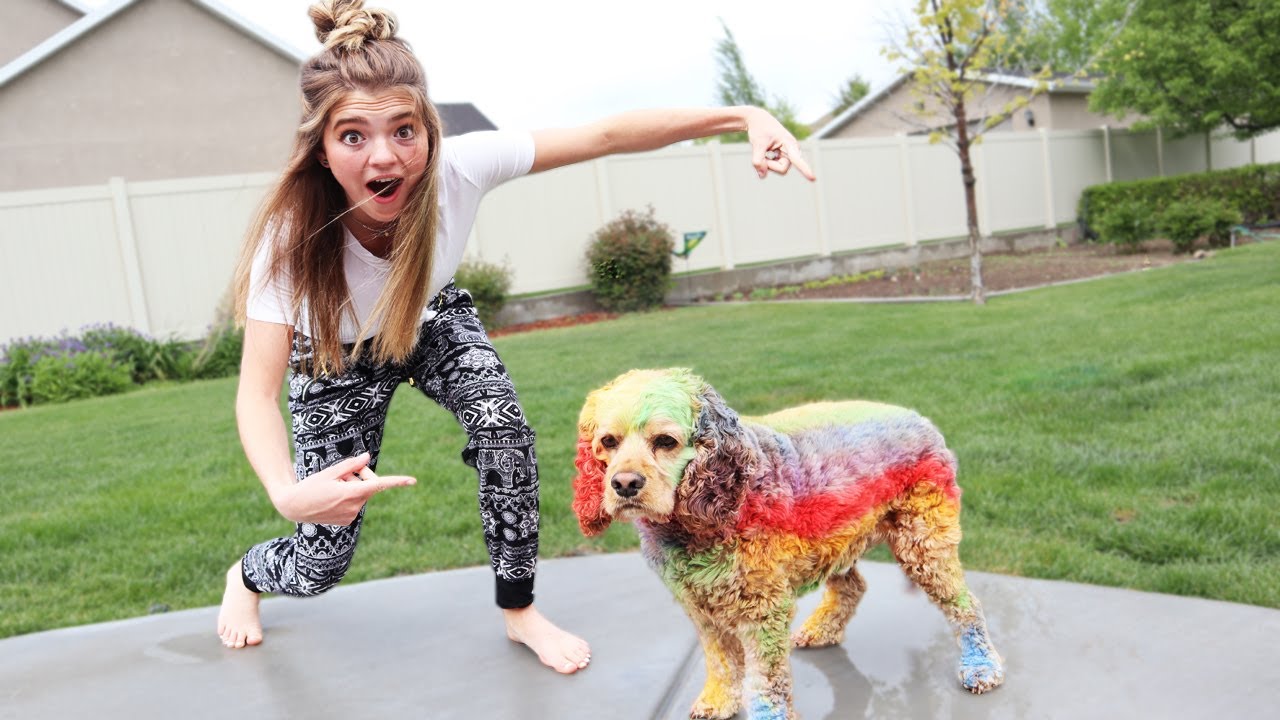 Download Rainbow Dog! Coloring Logan With Chalk - YouTube