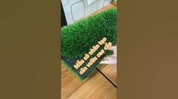 Mẫu thảm cỏ nhân tạo sân vườn ngoài trời cao cấp, không bụi đen, chống tia UV mạnh