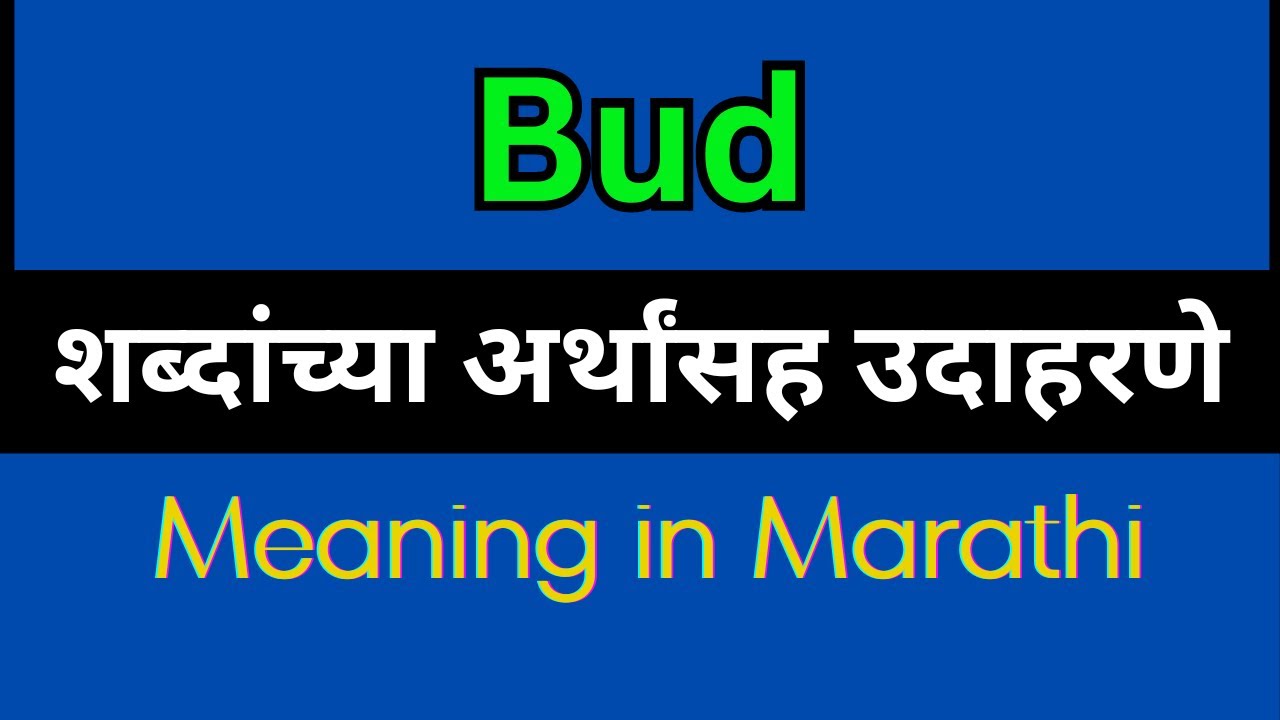 Bud Meaning In Marathi / Bud explained in Marathi