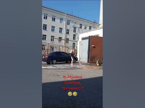 Марат&Арни#песня#Моника Беллуччи#стираю ковры и дорожки# - YouTube