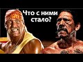 Что стало с Дэнни Трехо и Халком Хоганом?