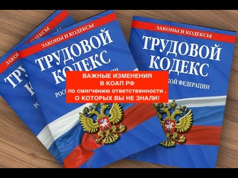 ВАЖНЫЕ ИЗМЕНЕНИЯ В КОАП РФ по смягчению ответственности , О КОТОРЫХ ВЫ НЕ ЗНАЛИ!