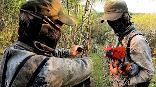 Một Ngày Đi Rừng Săn Bẫy Gà Rừng Đầy Thú Vị | Hoàng Thắng Vlog