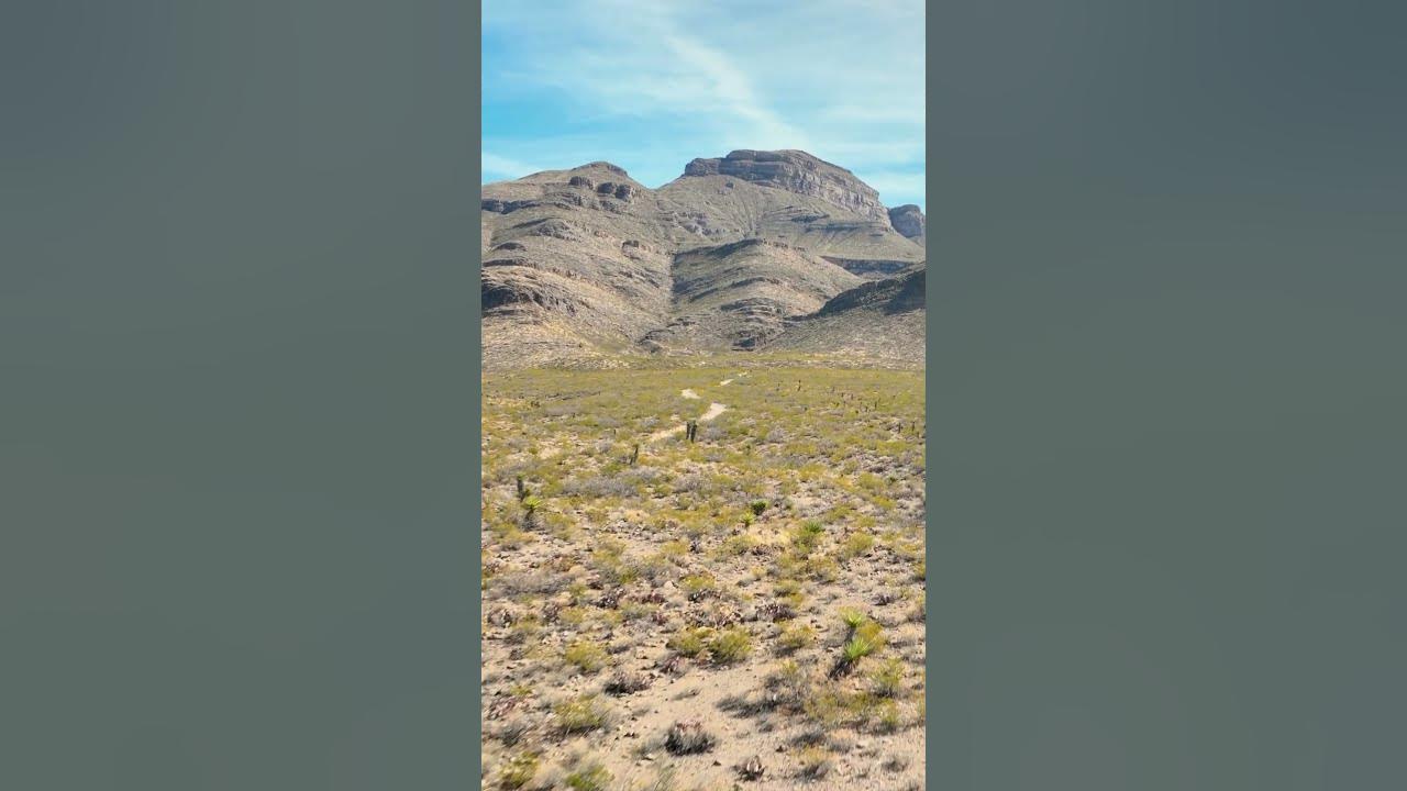 New Mexico Draw RESULTS are out! YouTube