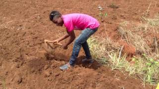 Download Lagu Cool le village avec Dj Free boy! MP3