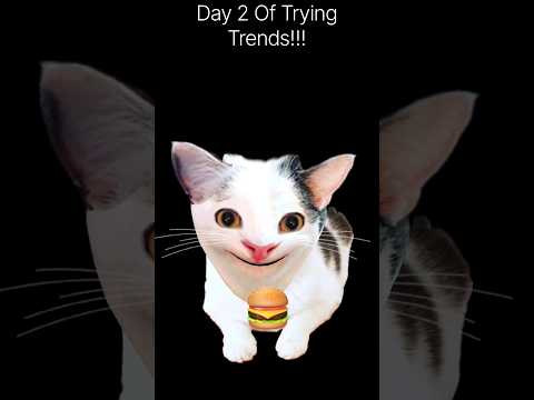 Day 2 Of Trying Trends #trending #cat #funny #viral #fyp