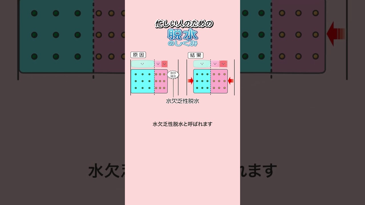 忙しい人のための脱水のしくみ