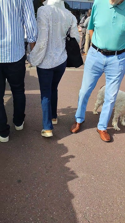 brocante 21 juillet 2025 belgique