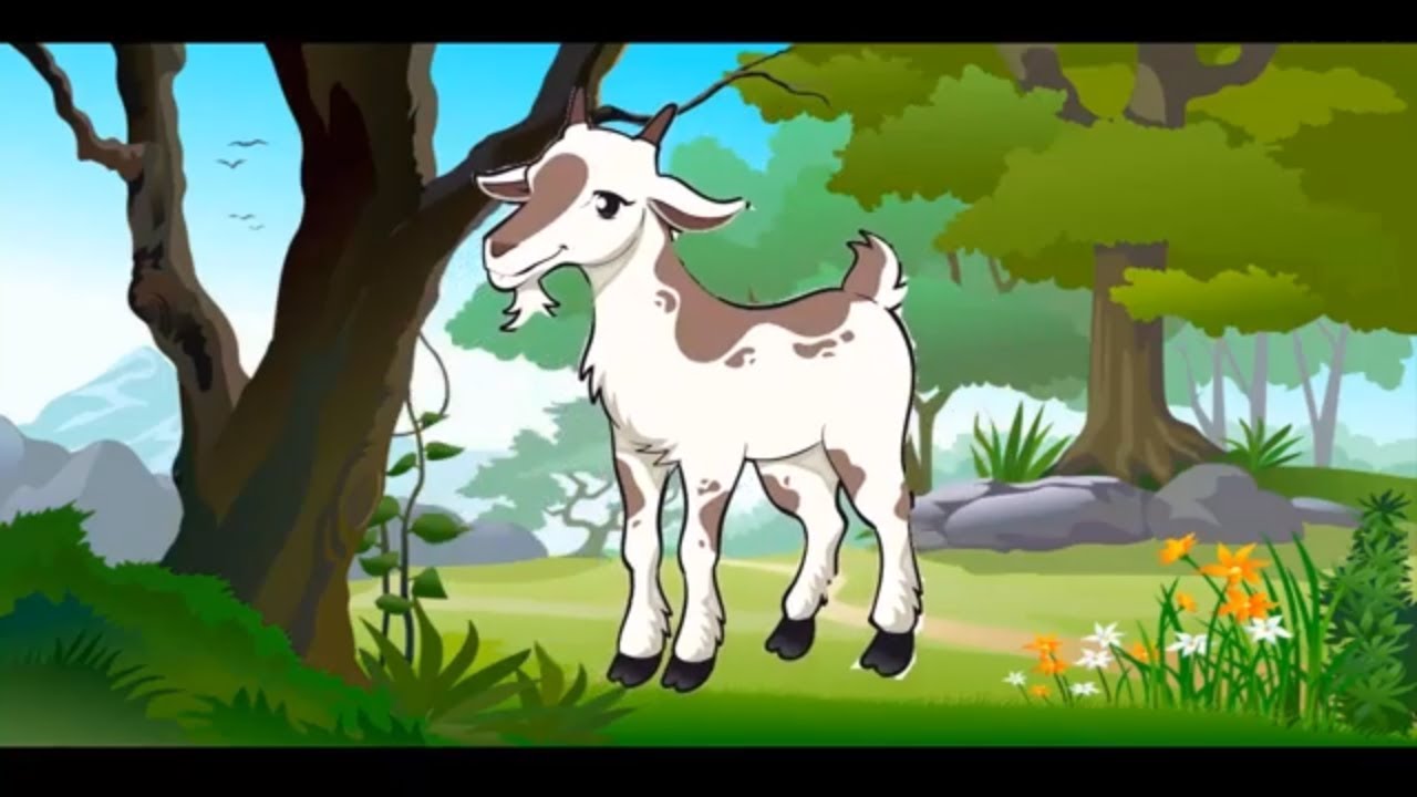 Canciones infantiles sal de ahi chivita chivita