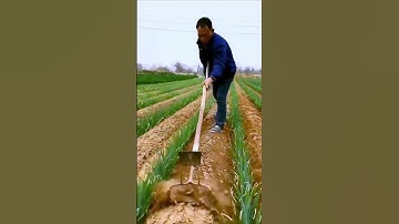 Share the process of turning the dirt - good tools can do more with less