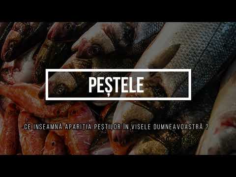 Video: Ce înseamnă Pestel?