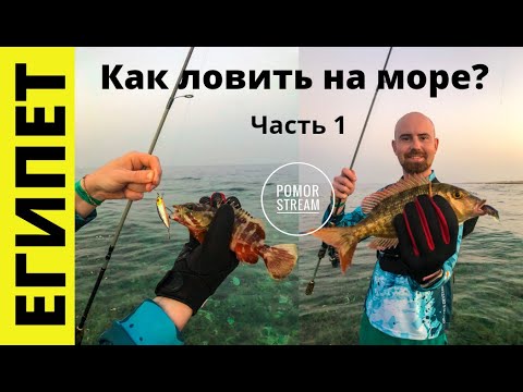 Морская РЫБАЛКА в Египте. Спиннинг с берега в Хургаде.