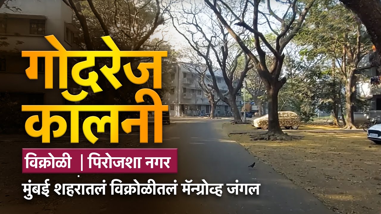 गोदरेज कॉलनी । Godrej Colony  | पिरोजशा नगर | विक्रोळीतलं मॅन्ग्रोव्ह जंगल | खाडी स्टेशन कॉलनी
