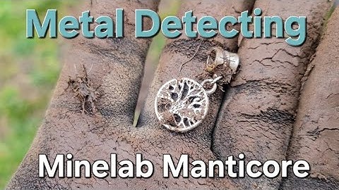 Metal Detecting Minelab Manticore - Metal Detecting Oregon and Beyond!