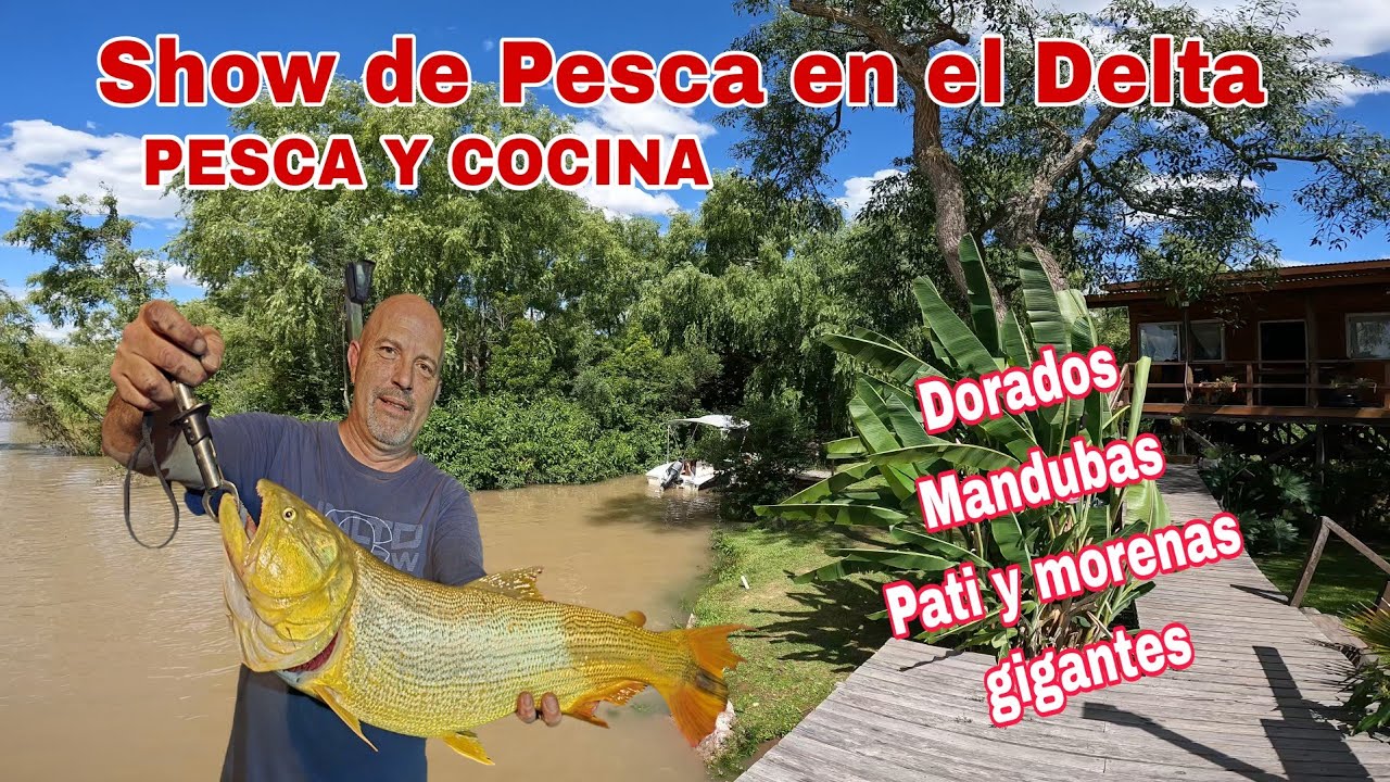 Show de Pesca Y Cocina  en el Delta Dorados , Pati , Mandubas , taruchas ,Palometas y morena gigante