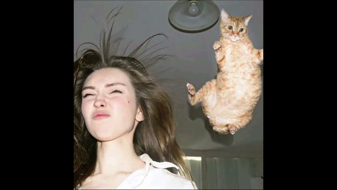 (free) fakemink + suzy sheer + buckshot type beat - 