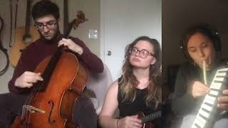 Queen of the Savages by The Magnetic Fields (Cover)