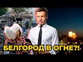 🔥ВСУ уничтожили десятки рашистов, а Белгород теперь не будет спать / @Алексей Гончаренко