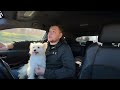 Инвойс в Китай. Только на Русском языке!