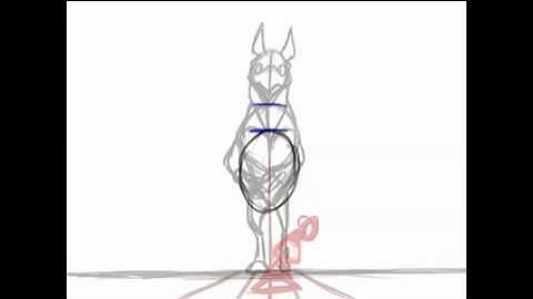 Front 4 legged Run cycle guide