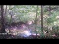Testing ManyCam Streaming Front end.