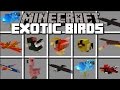 Minecraft EXOTIC BIRDS MOD / PLAY WITH LOADS OF EXOTIC BIRDS IN THE ZOO!! Minecraft