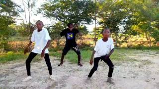 Diamond ft Lava lava_kibango ( Official dance video)