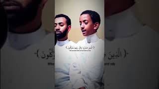 Surah: Al-Ankabut: Ayat 58-60, Reciter: Hamza Seed #subscribe #like #quran