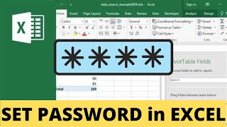 How to set PASSWORD and expiry date in EXCEL