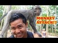 SACRED MONKEY FOREST In UBUD BALI! | MONKEY ATTACK?