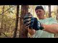 ASMR | Giving a Tree a Massage