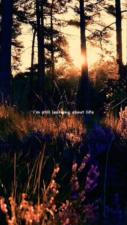 7 Years - Lukas Graham ¦ Asthetic LoFi ¦ Slowed Reverb ¦ Music Lyrics ¦ Remix