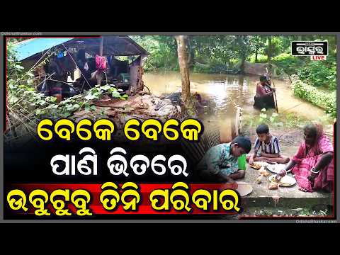 ଲଗାଣ ବର୍ଷାରେ ୩ ପରିବାର ଜଳବନ୍ଦୀ | ଘରେ ପଶିଛି ପାଣି, ରାସ୍ତା କଡ଼ରେ ଚୁଲି ଜାଳି କରୁଛନ୍ତି ରୋଷେଇ