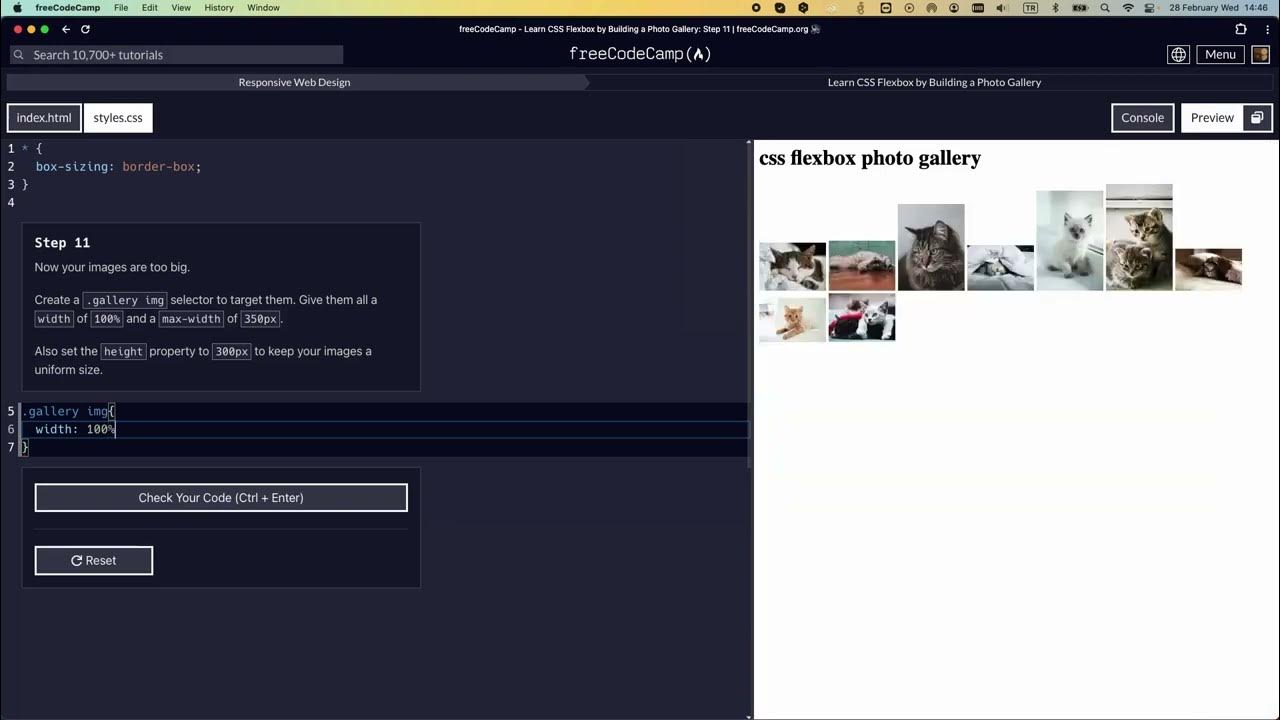 Learn CSS Flexbox by Building a Photo Gallery - Step 11 #freecodecamp # ...