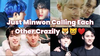 Minwon Calling Each Other Crazily  minwon meanie mingyu wonwoo seventeen carat kimmingyu