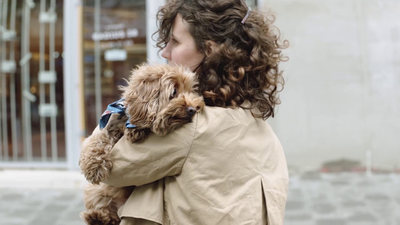 Что если кружит голова?