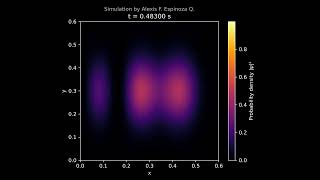 Two-dimensional Quantum Gaussian wave packet confined by infinite potential walls (Numerical Sim)