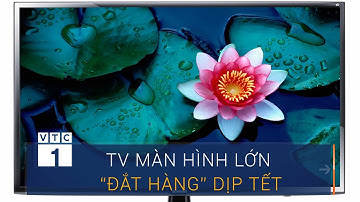 Tivi màn hình cỡ lớn lên ngôi dịp Tết Nguyên đán | VTC1